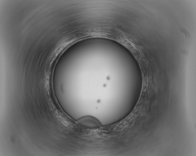 X0000112540098200908171451
