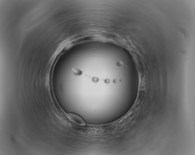 X0000112540099200908171451