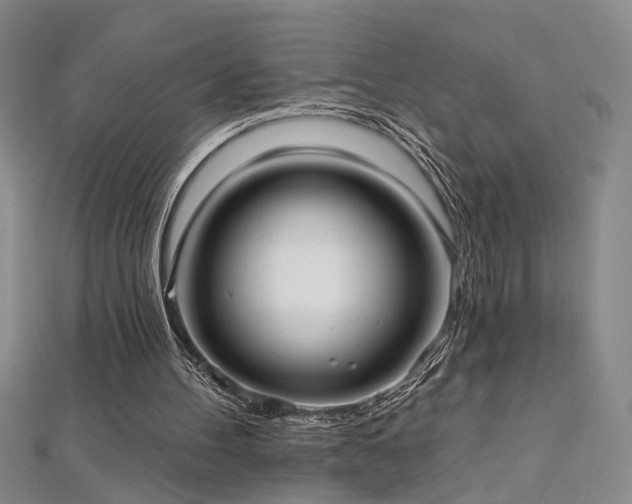 X0000112540100200908171451