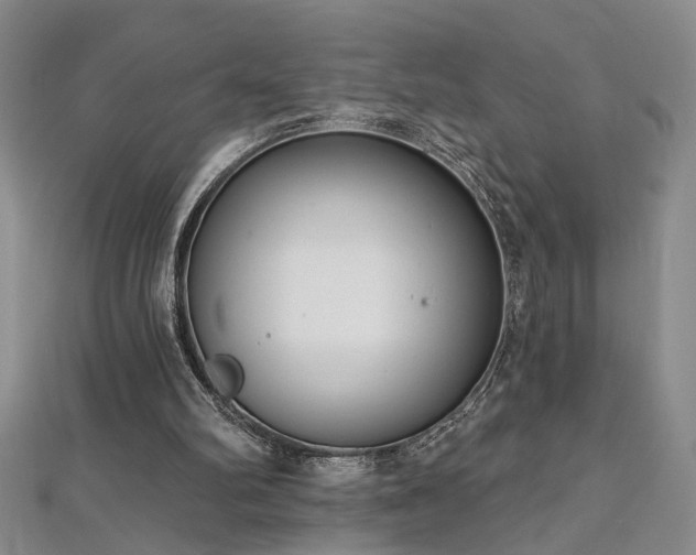 X0000112540102200908171451