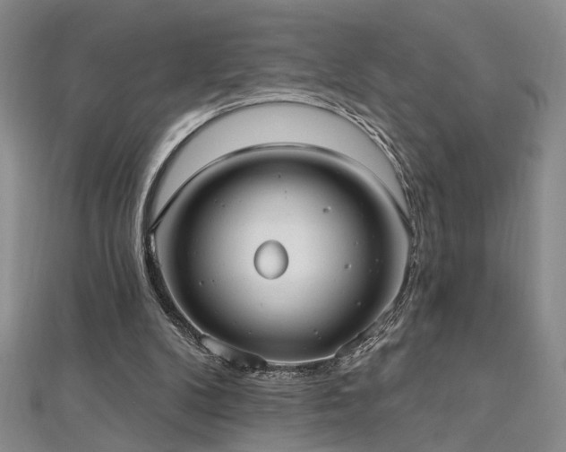 X0000112540104200908171451