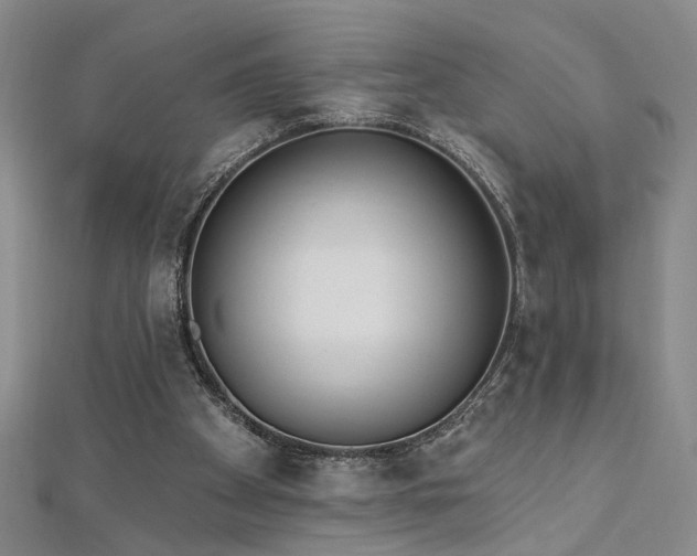 X0000112540105200908171451