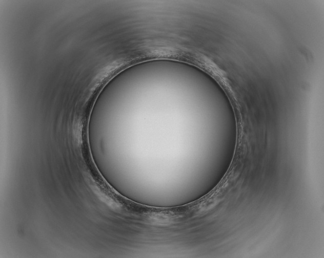 X0000112540106200908171451