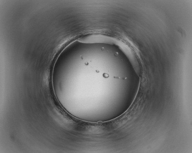 X0000112540107200908171451