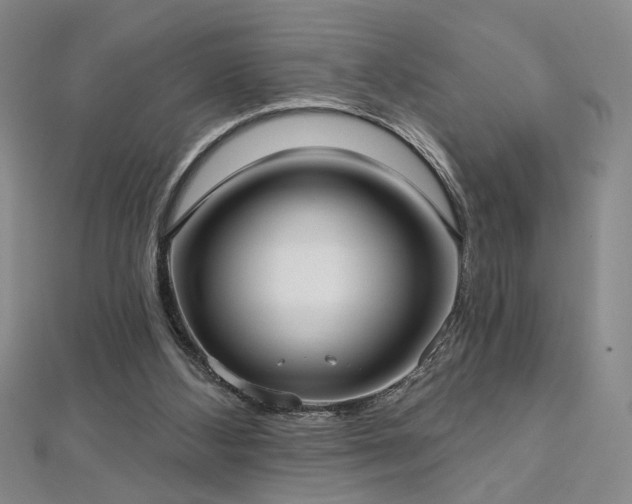 X0000112540108200908171451