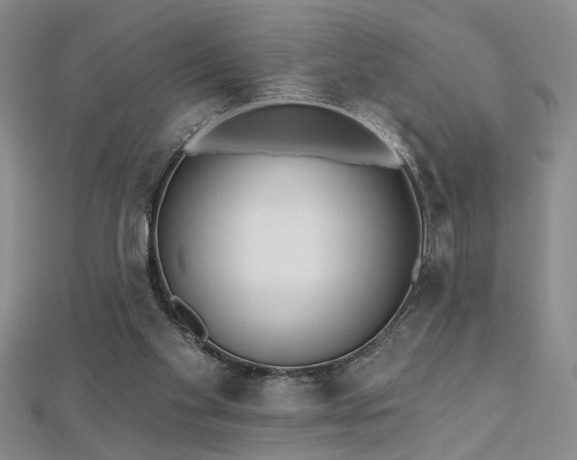 X0000112540109200908171451