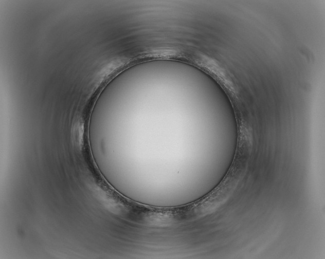 X0000112540110200908171451