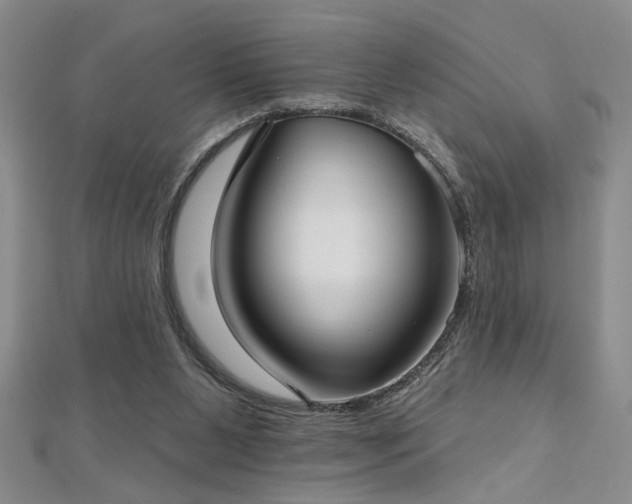 X0000112540111200908171451