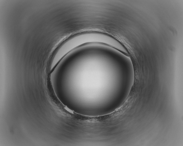 X0000112540112200908171451