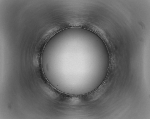 X0000112540114200908171451