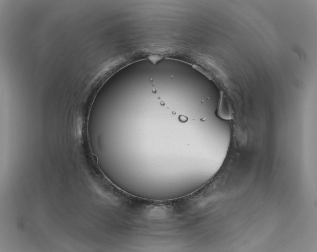 X0000112540115200908171451