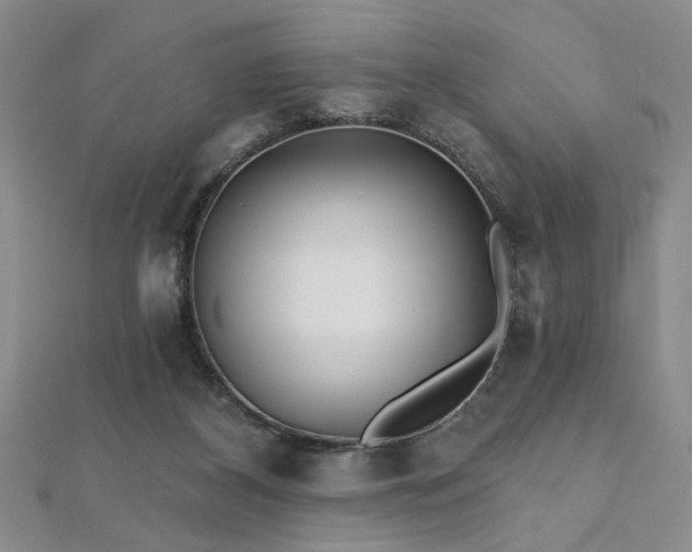 X0000112540116200908171451