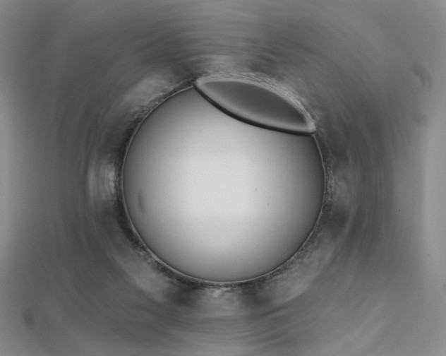 X0000112540117200908171451