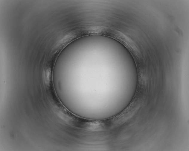 X0000112540118200908171451