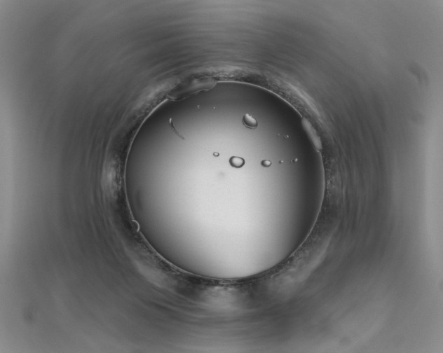 X0000112540119200908171451