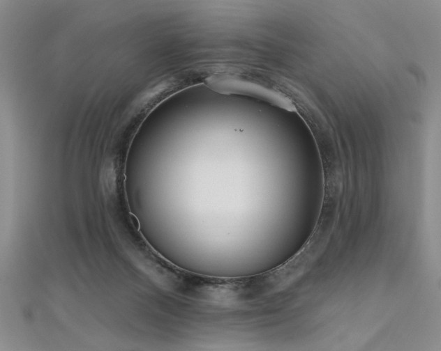 X0000112540120200908171451