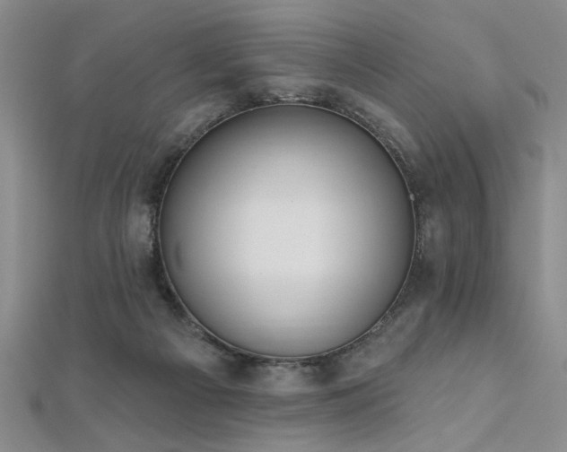 X0000112540121200908171451