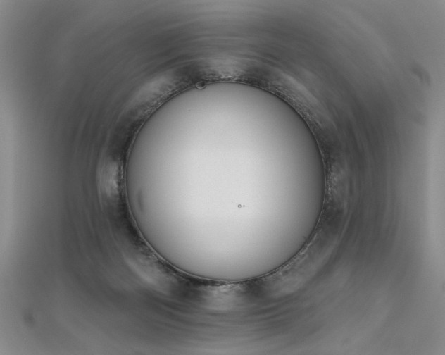 X0000112540122200908171451