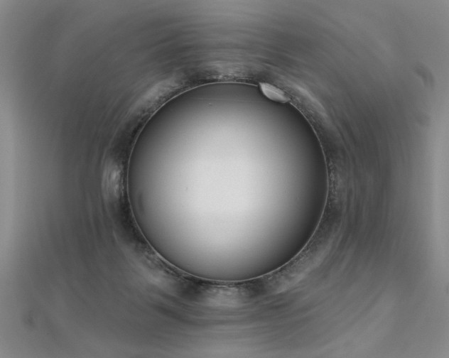 X0000112540123200908171451