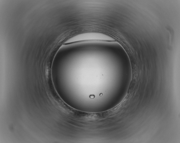 X0000112540124200908171451