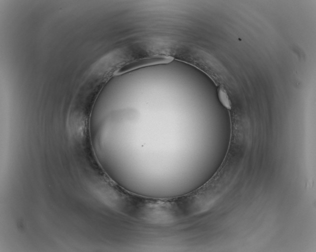 X0000112540125200908171451