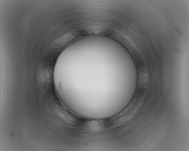 X0000112540126200908171451