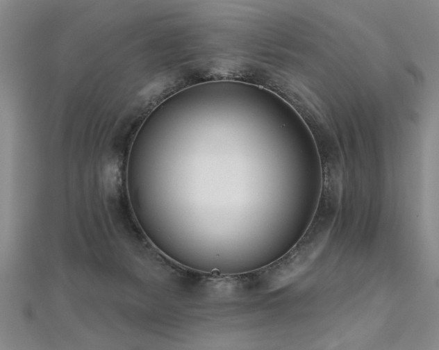 X0000112540127200908171451