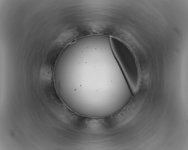 X0000112540129200908171451