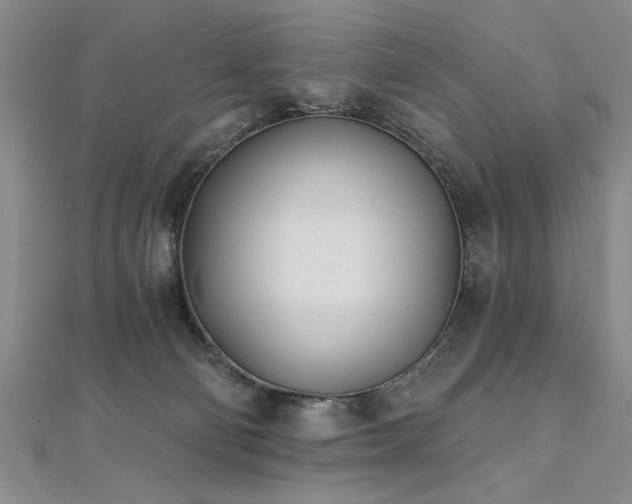 X0000112540130200908171451