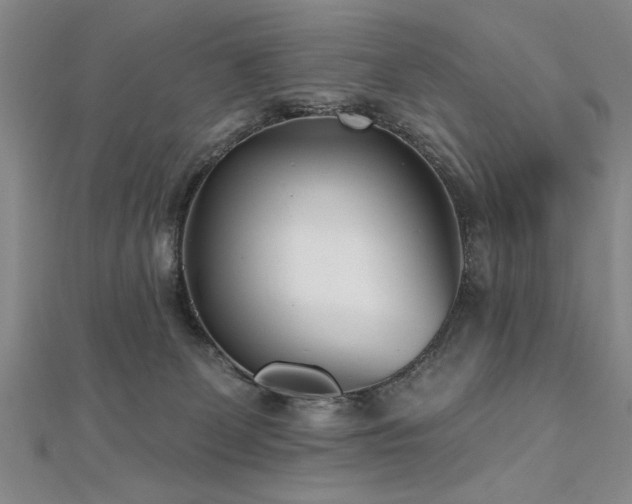 X0000112540131200908171451