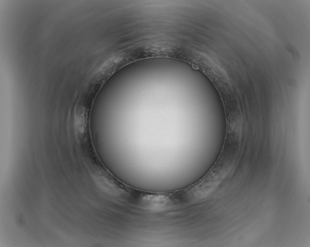 X0000112540133200908171451