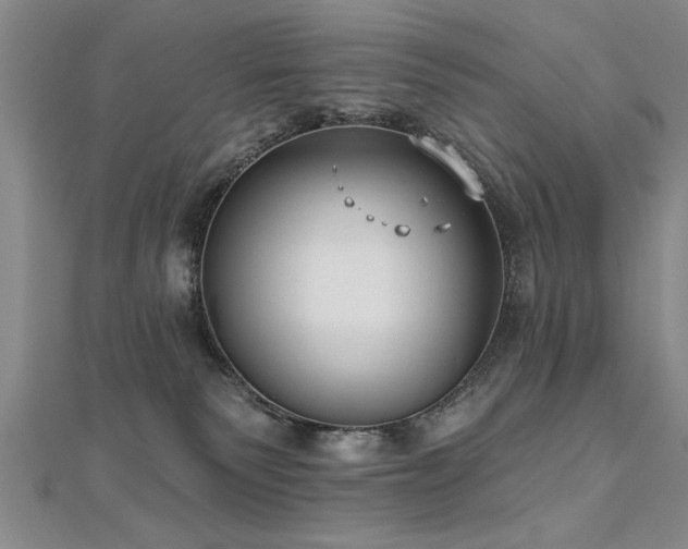 X0000112540135200908171451