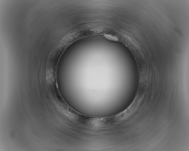 X0000112540136200908171451