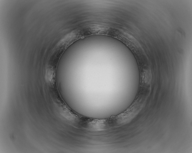 X0000112540138200908171451