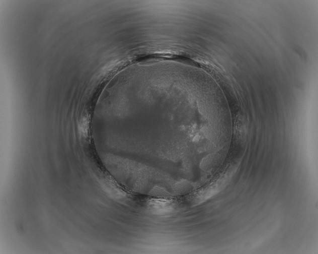 X0000112540139200908171451