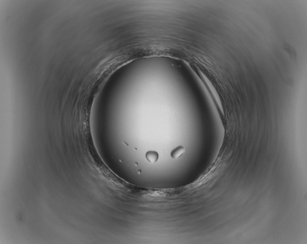 X0000112540140200908171451