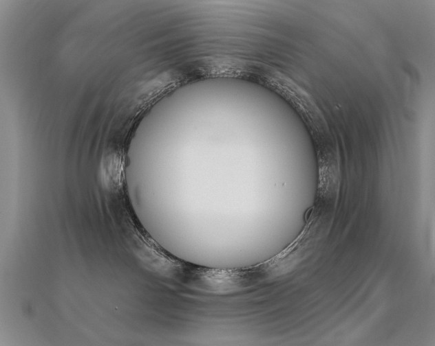 X0000112540142200908171450