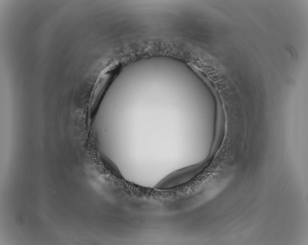 X0000112540144200908171450