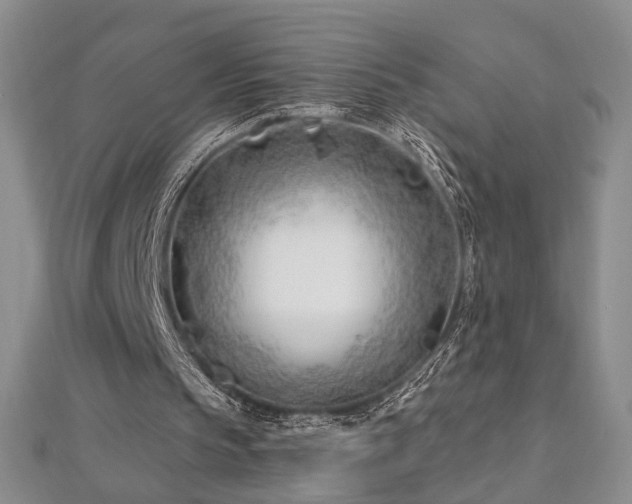 X0000112540145200908171450