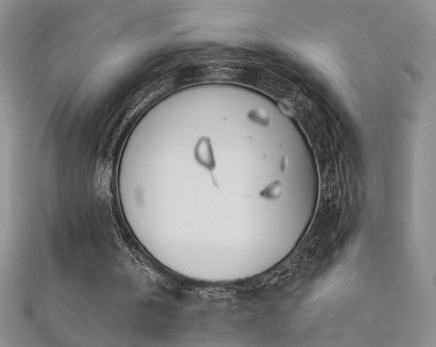 X0000112540146200908171450
