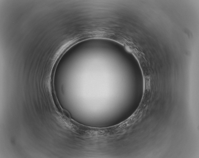 X0000112540147200908171450