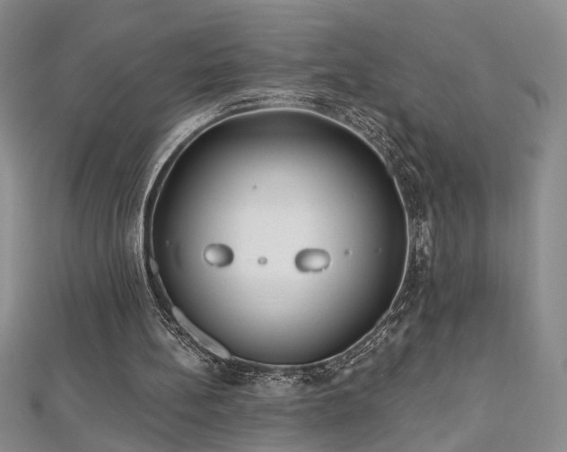 X0000112540148200908171450