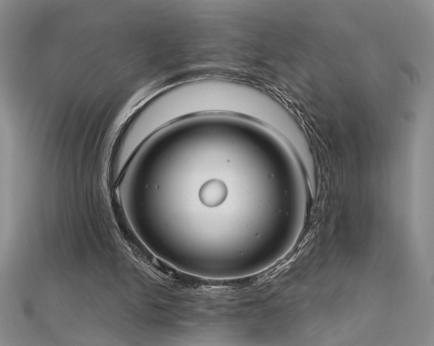 X0000112540150200908171450