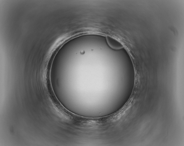 X0000112540151200908171450