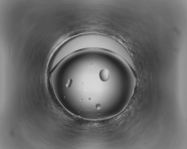 X0000112540152200908171450