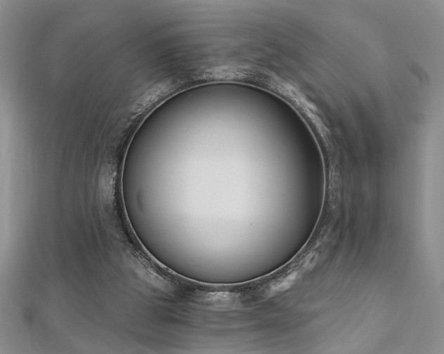 X0000112540153200908171450