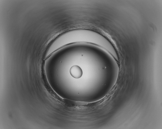 X0000112540154200908171450