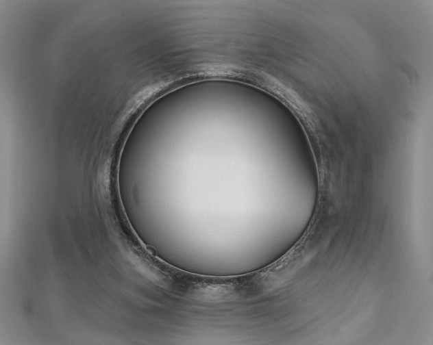 X0000112540155200908171450