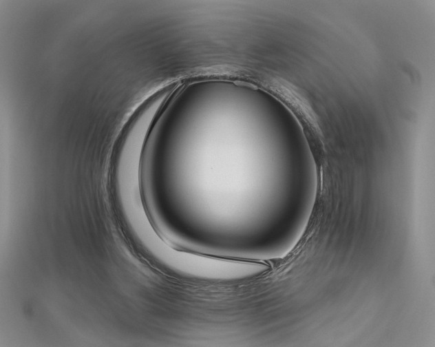 X0000112540156200908171450