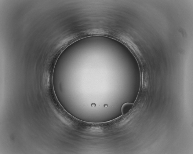 X0000112540157200908171450